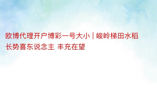 欧博代理开户博彩一号大小 | 峻岭梯田水稻长势喜东说念主 丰充在望