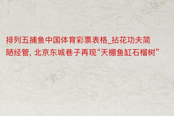 排列五捕鱼中国体育彩票表格_拈花功夫简陋经管, 北京东城巷子再现“天棚鱼缸石榴树”