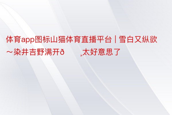 体育app图标山猫体育直播平台 | 雪白又纵欲~染井吉野满开🌸太好意思了